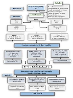 Effectiveness of school-based physical activity programs in enhancing attention, academic performance, and social relationships among children with intellectual disabilities: evidence from Pakistani schools